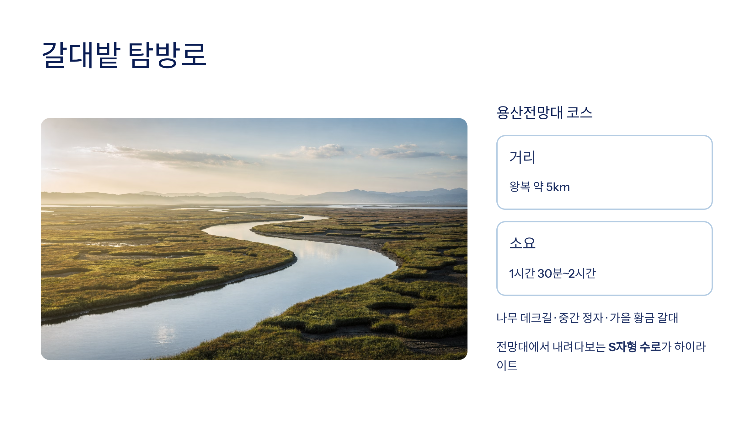 순천 근교 산책 달리기 트레킹 코스 추천 ❘ 습지부터 산줄기까지 걷는 여행