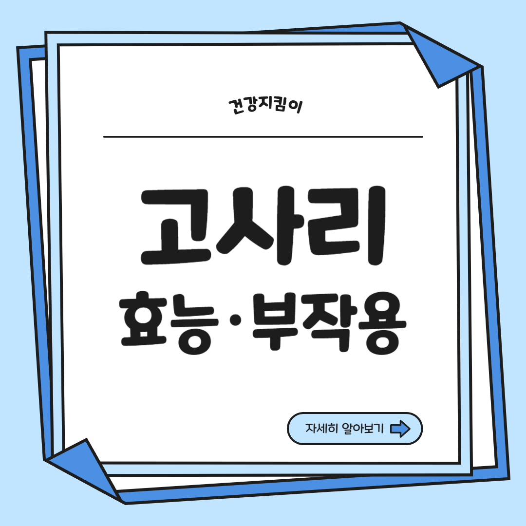 고사리 효능과 부작용 고르는법 칼로리
