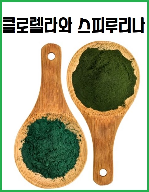 클로렐라와 스피루리나