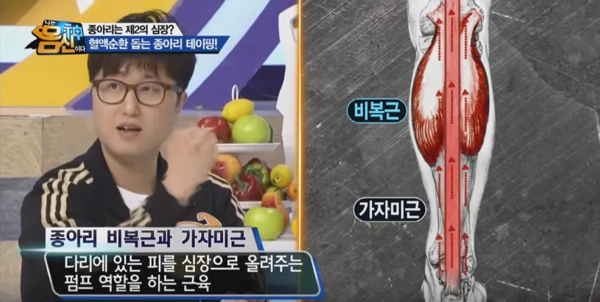 근육의 역할
