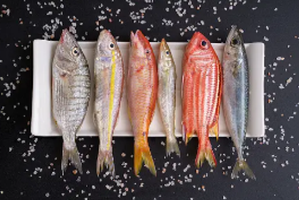 노로바이러스 전염