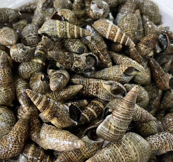 다슬기 – 추억 속의 간식, 국물 맛 최고