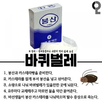 붕산의 효능과 비료 바퀴벌레 개미 퇴치법 칼슘 용도 붕사의 차이 만드는법 붕소 정보_6