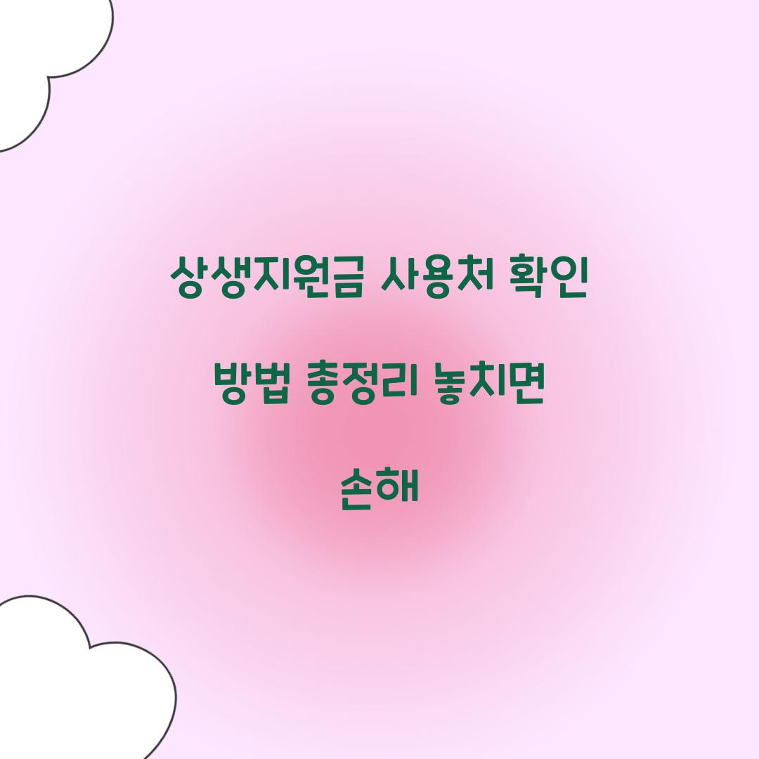 상생지원금 사용처