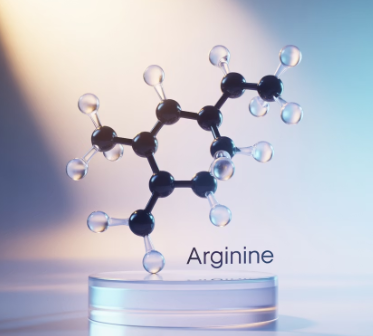 아르기닌의 효능