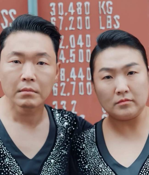 이수지 싸이