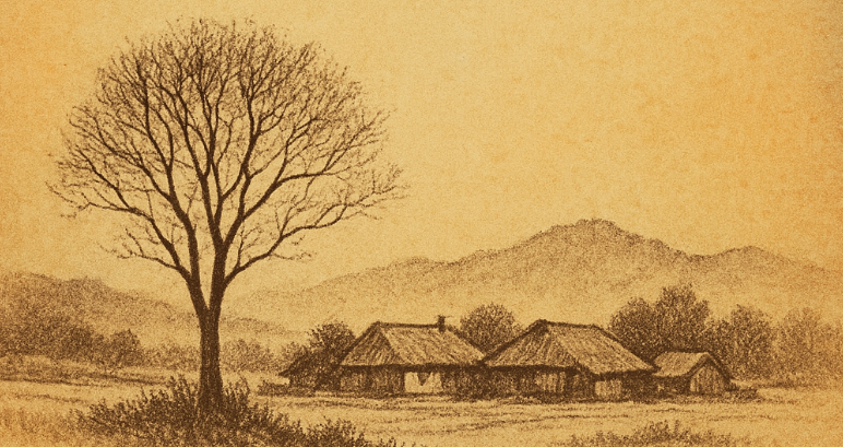 시 우리동네 느티나무 관련 이미지