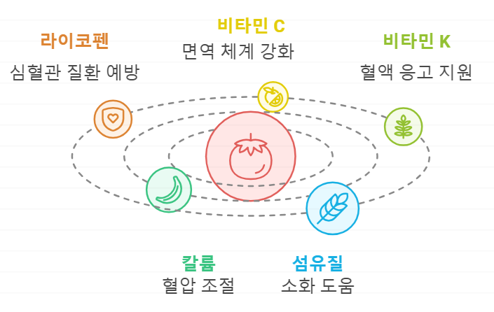 토마토