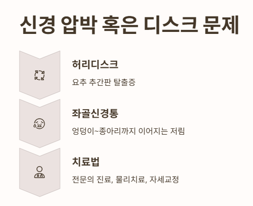신경 압박 혹은 디스크 문제