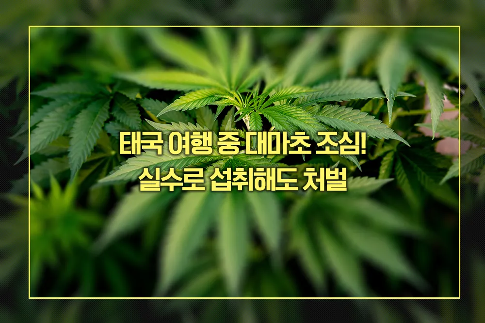 태국 여행 조심해야 할 사항