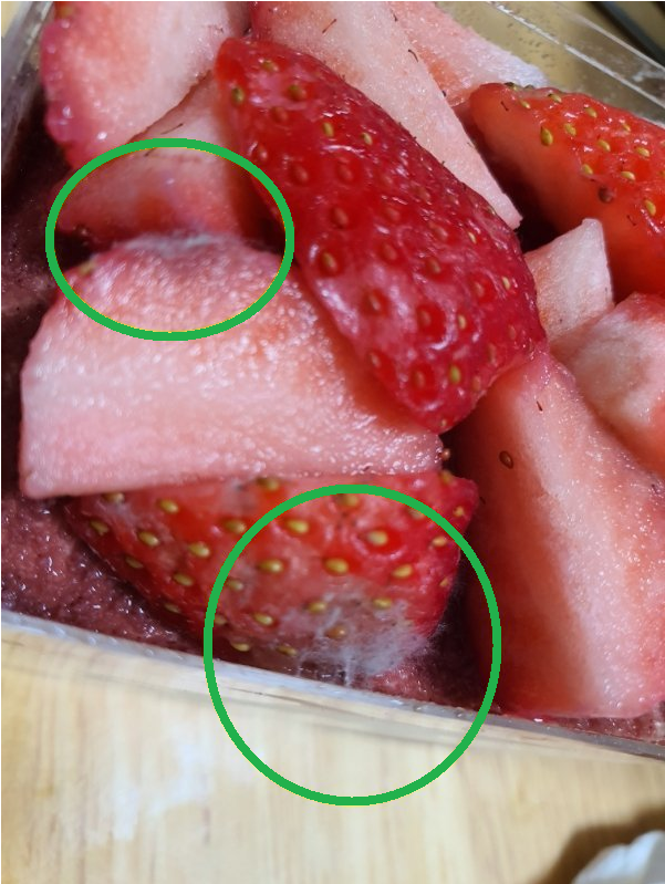 파리바게트 곰팡이케익