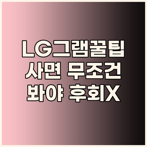 LG 그램 구매자를 위한 필수 추가 ..