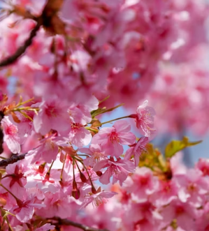 잠실 롯데월드몰 주차비 아끼는 법! 어플 무료 주차권 주의사항 및 모두의주차장 주말권 꿀팁