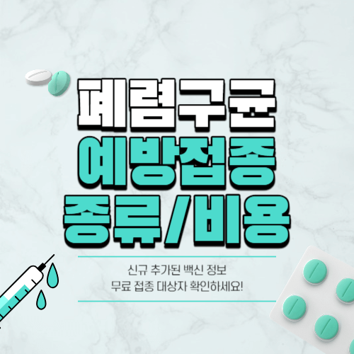 폐렴구균 예방접종 종류 예방접종 병원