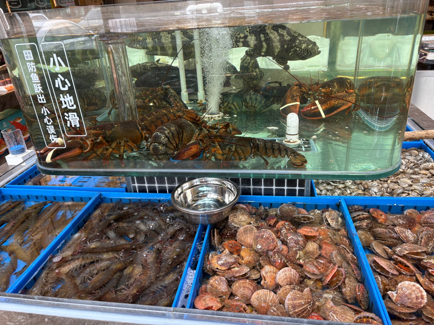 식당 수족관