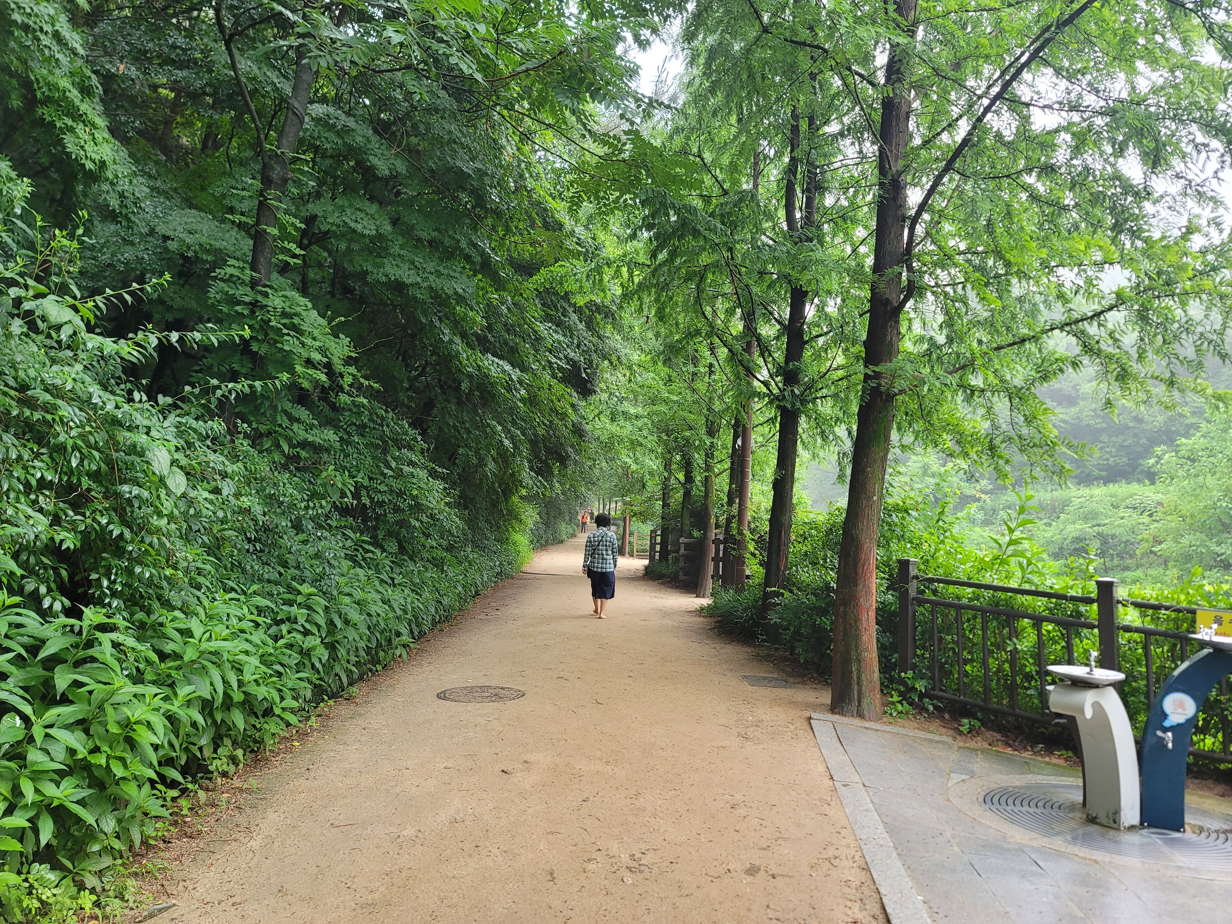 대구고산골공룡공원