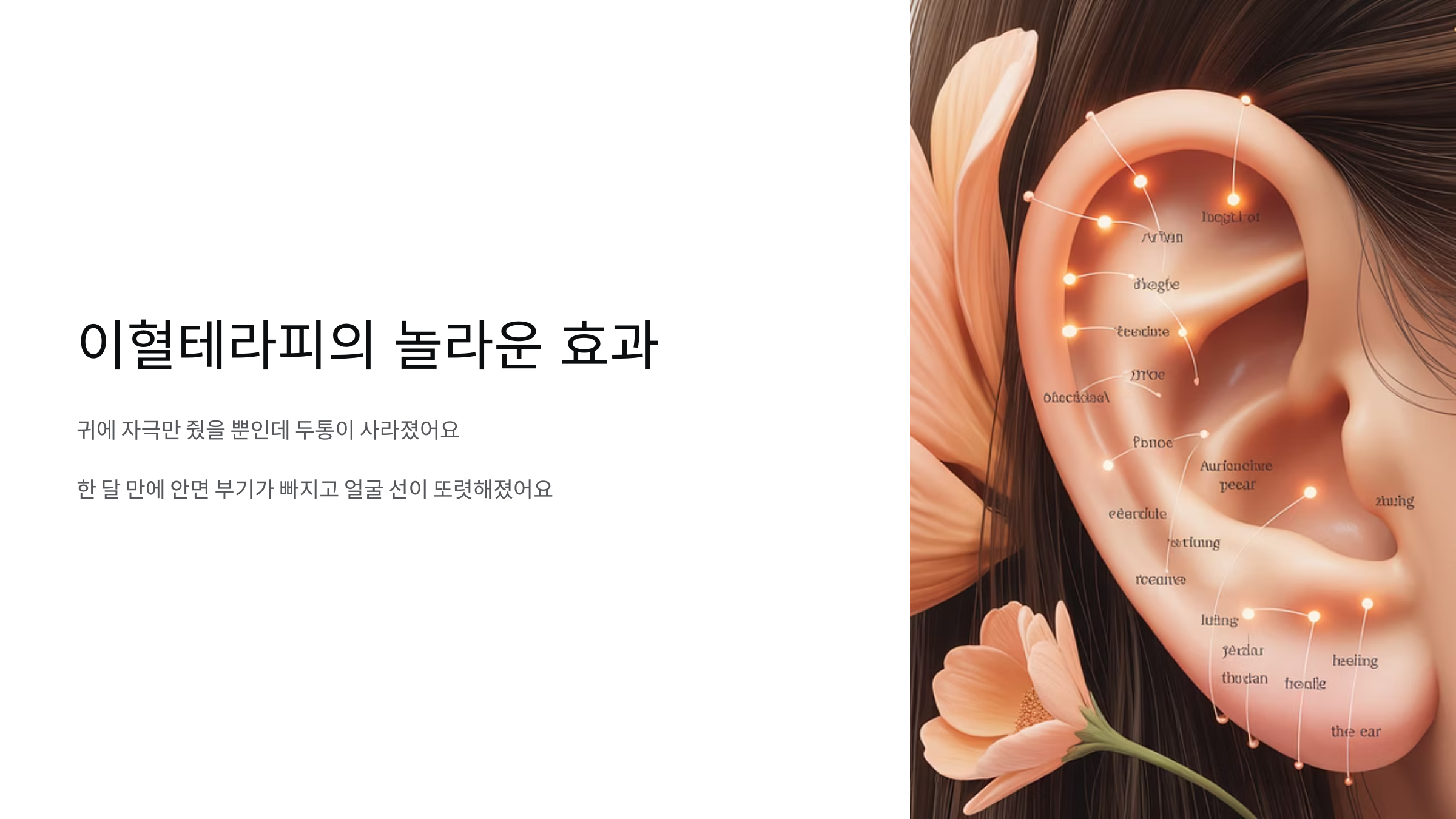 이혈테라피