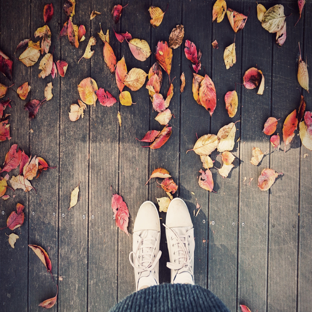 가을 혼자 여행 관련 사진