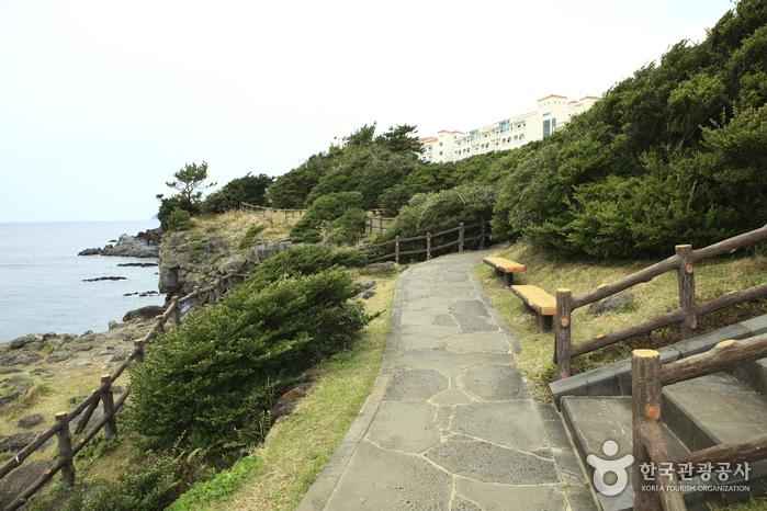 남원 큰엉해안경승지 – 절벽 뷰 산책로