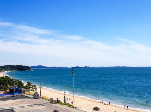 보령 대천해수욕장, 가족여행부터 머드축제까지 제대로 즐기는 방법