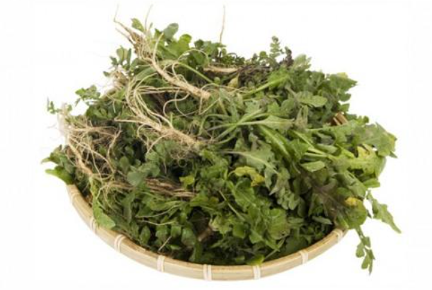 냉이: 봄의 건강한 보물