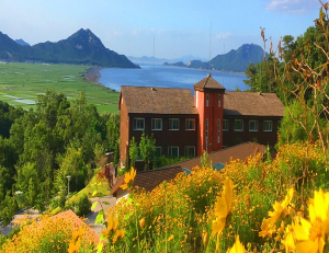 자연휴양림 BEST 5 2023년 신축