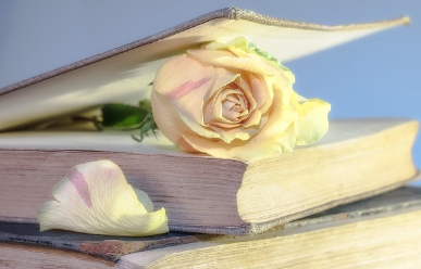 국세 지방세 완납증명서 발급 방법 안내 