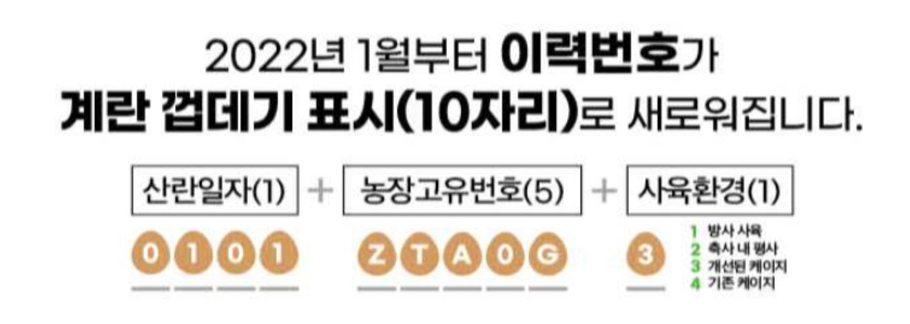 정보 내용