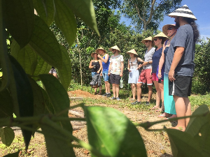 푸꾸옥 여행 추천 푸꾸옥 컨트리사이드