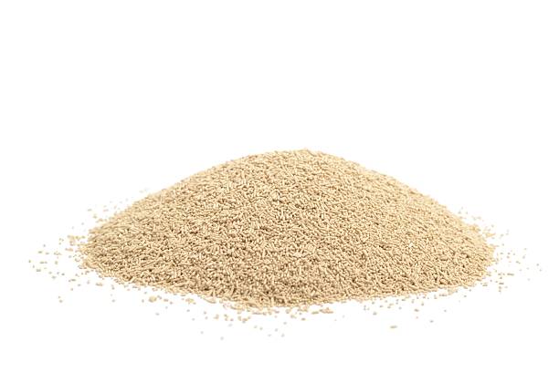 탈모 예방에 효과적인 맥주효모: 효능, 섭취 방법, 그리고 주의 사항 탈모 예방에 효과적인 맥주효모: 효능, 섭취 방법, 그리고 주의 사항