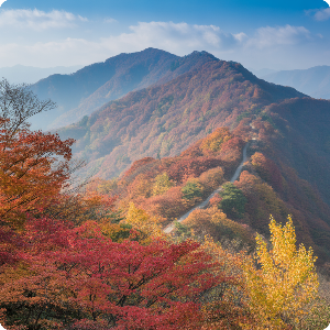 2025년 단풍 절정 시기 – 강원·경상 단풍 명소 가상 이미지