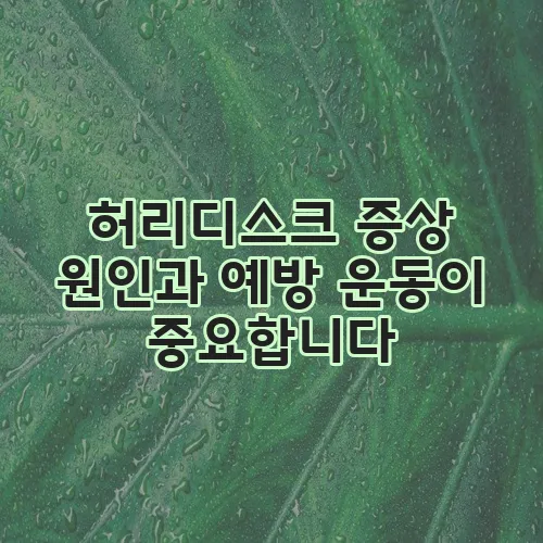 허리디스크 증상 원인과 예방 운동이 중요합니다