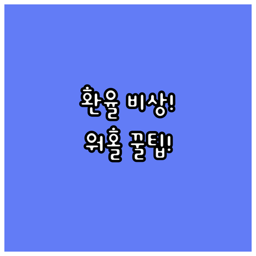 환율 변동 대비 워홀 비자 잔고 증명..