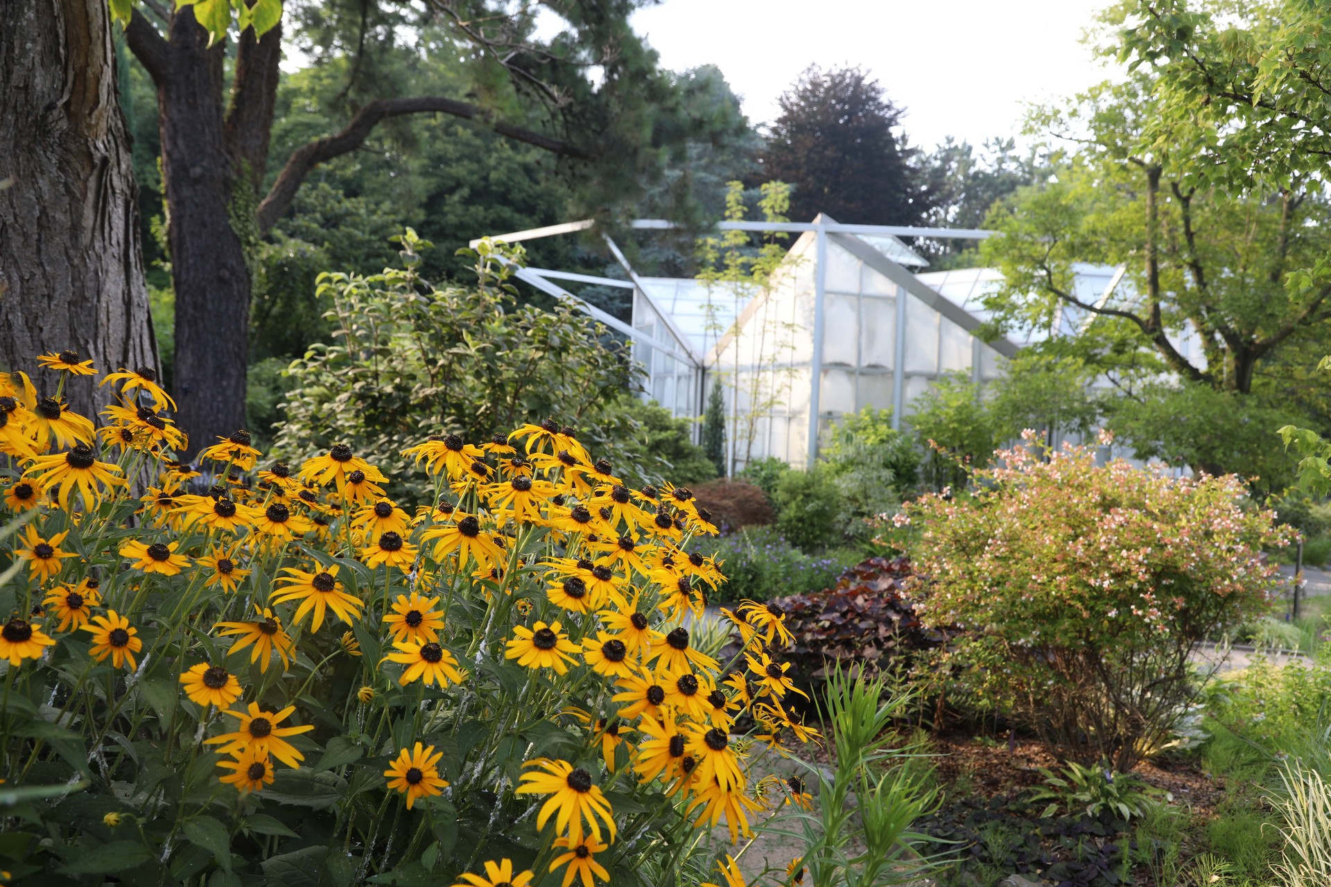 태안 천리포수목원 수국 명소 총정리! 개화시기부터 포토존까지
