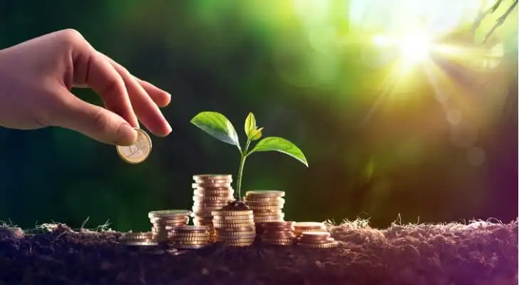 분배금(배당금)