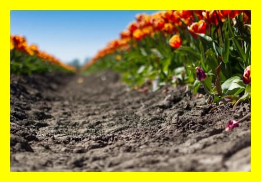 ESG 항목이 포함된 협력사 평가표 구성 방법 (2025 기준)