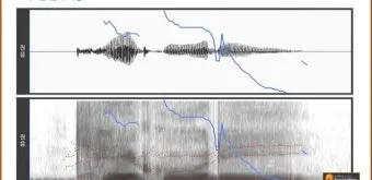 음성의 분석과 합성의 원리 소리 구조와 기술적 응용_20