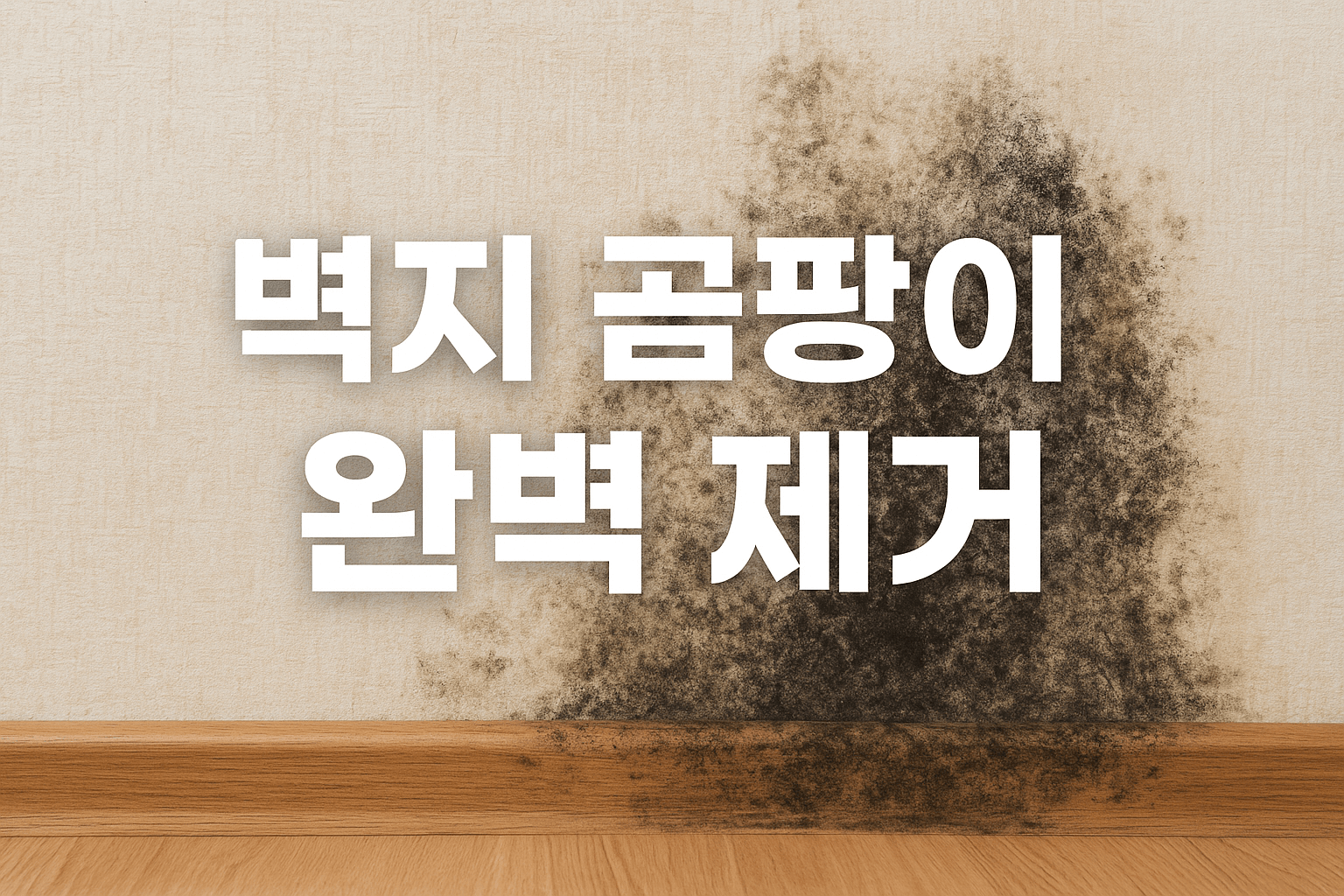 벽지 곰팡이 제거