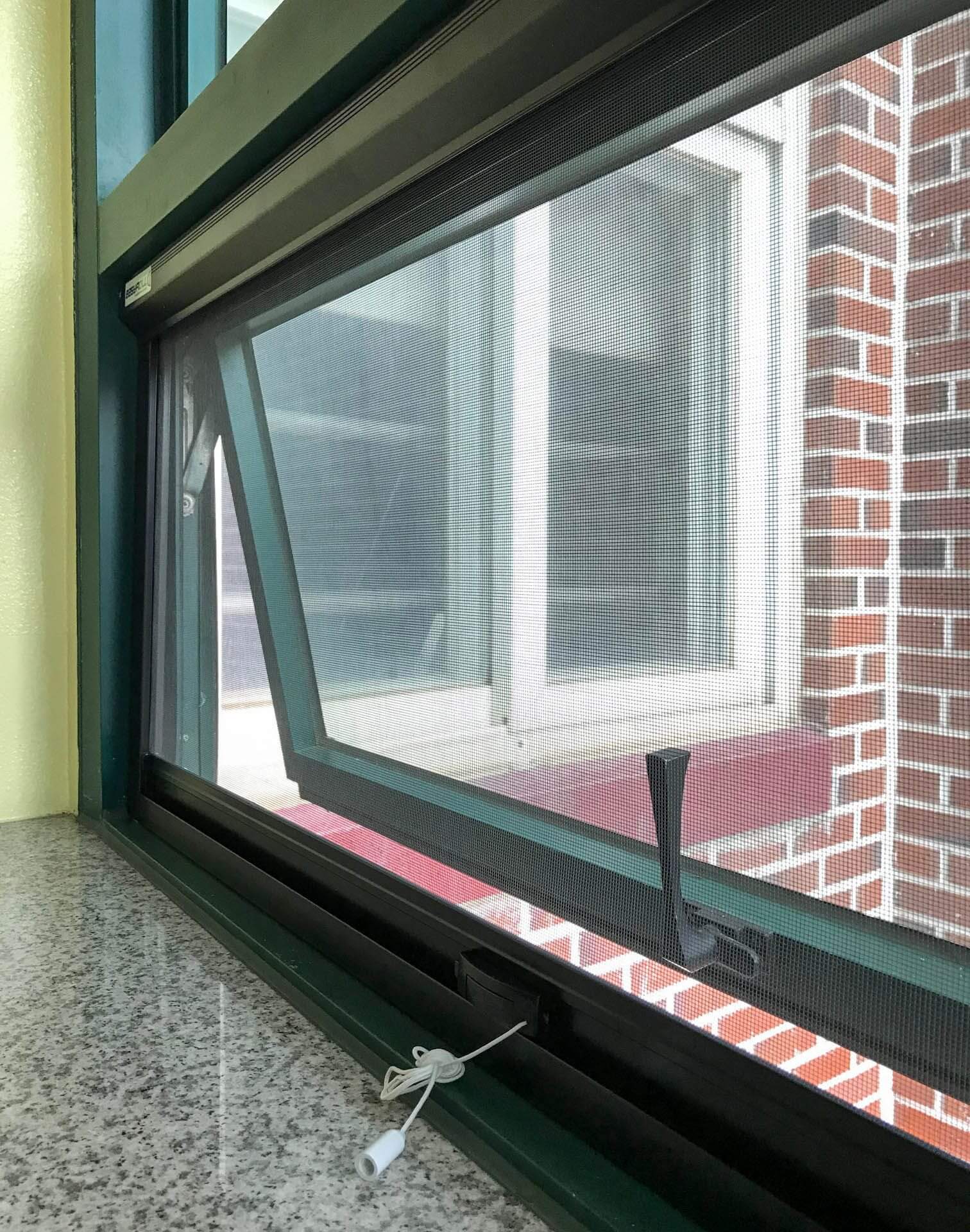 러브버그 제거방법