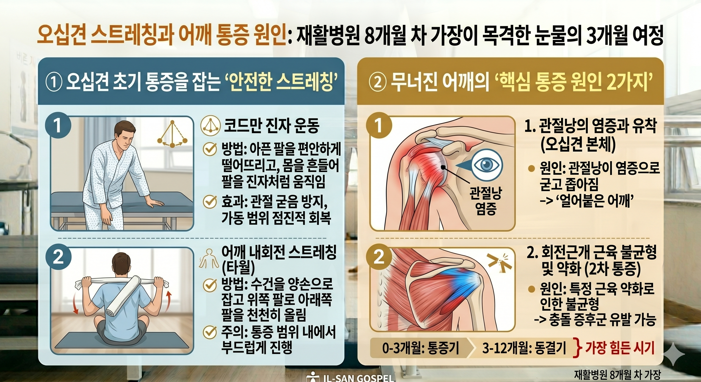 오십견 스트레칭과 어깨 통증 원인: 재활병원 8개월 차 가장이 목격한 눈물의 3개월 여정