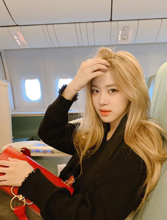 로제 사진