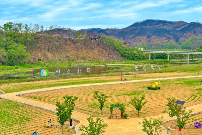  청송 가볼만한곳