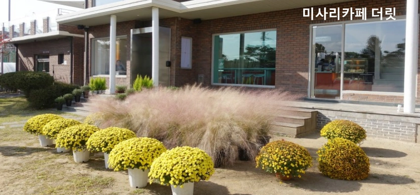 연예인 매니저로 살아남기 촬영장소 미사리카페 더릿