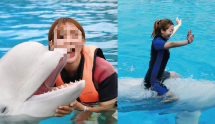 거제 씨월드
