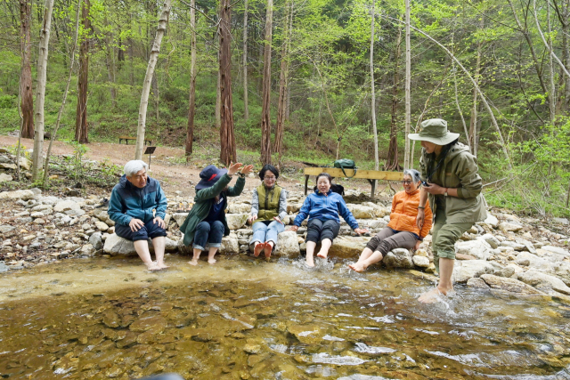 국립백두대간수목원 &lsquo;가든스테이&rsquo; 참여자가 전문 숲해설사가 진행하는 &lsquo;숲속을 걸어요&rsquo; 체험프로그램에 참여하고 있다. 사진제공=국립백두대간수목원