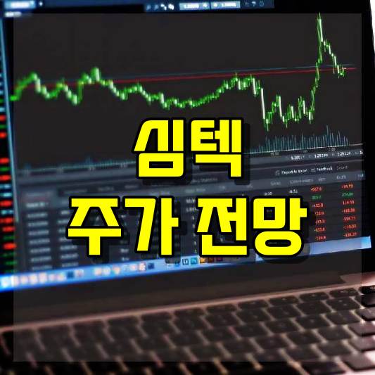 심텍 주가 전망