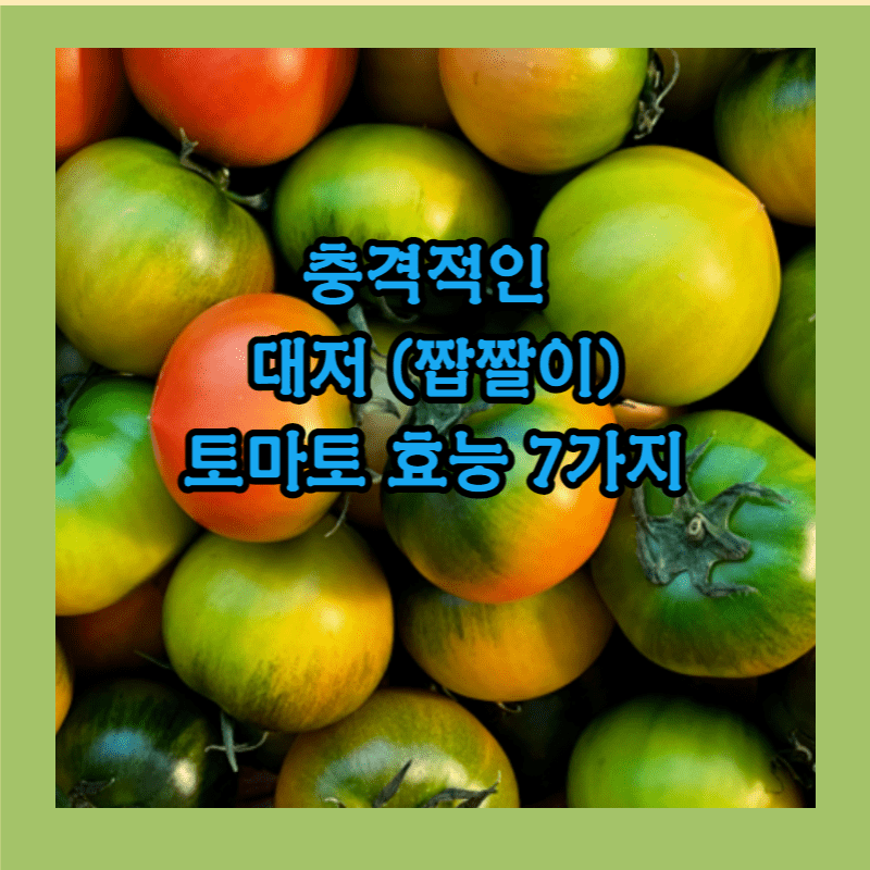 대저 토마토
