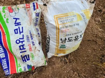 비료 주는 시기 기비 추비 요소 인산 가리 엽면시비_16