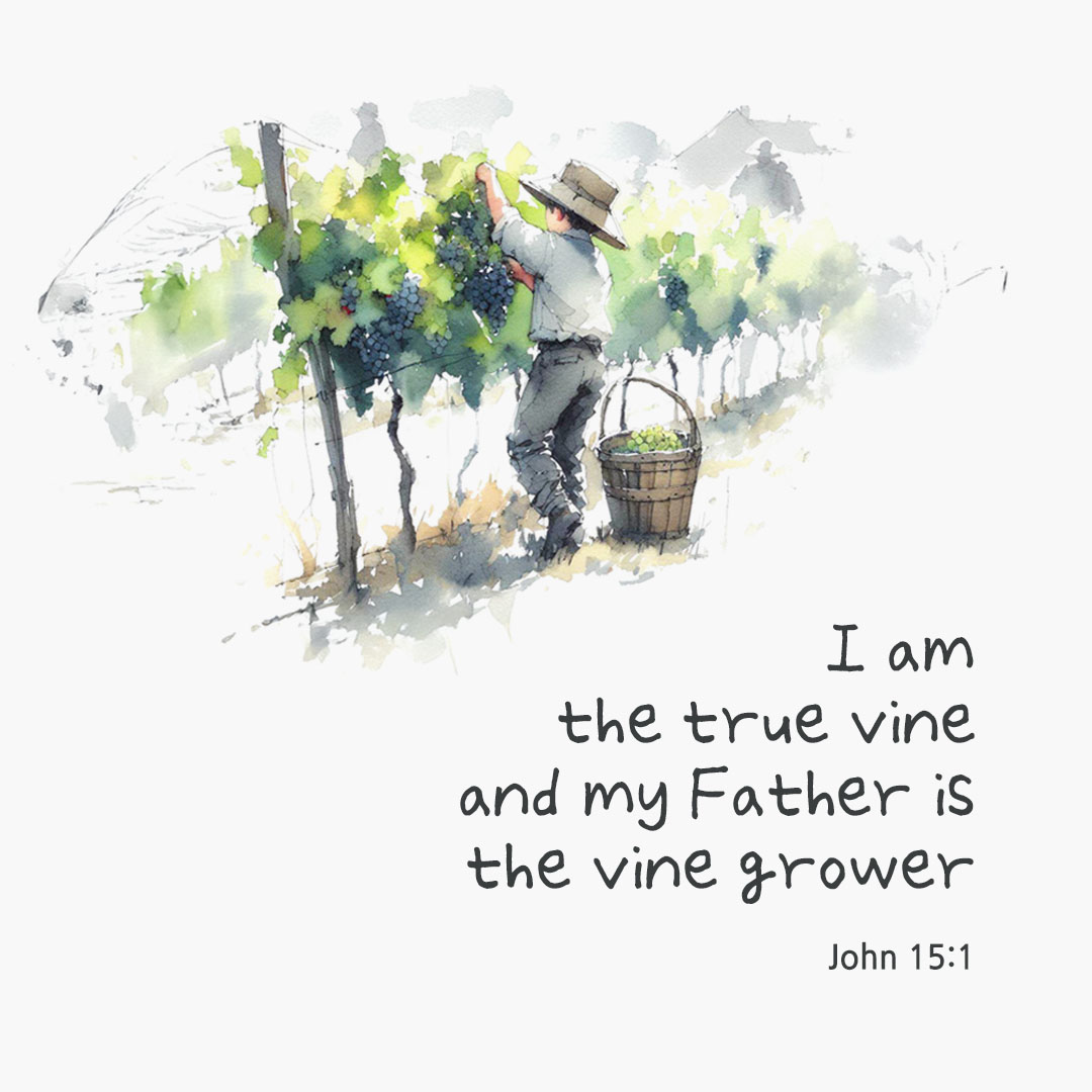 Today's Bible verse card John 15:1 scripture image