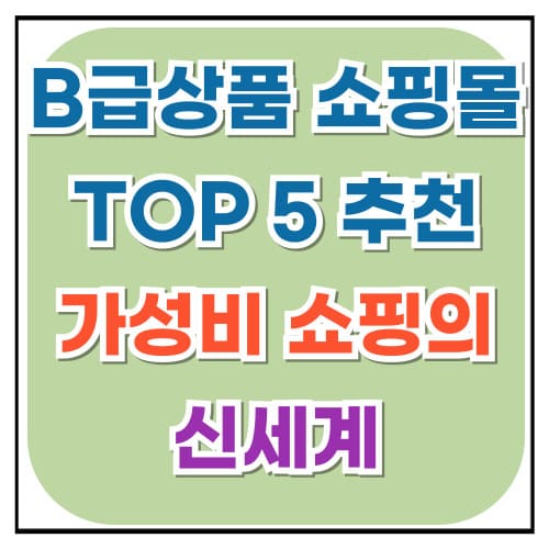 B급상품 쇼핑몰 TOP 5 추천 가성비 쇼핑의 신세계